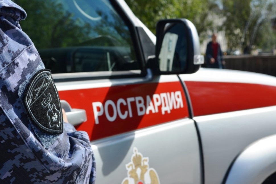 Росгвардейцы задержали подозреваемых в хищении товара в строительном гипермаркете Архангельска граждан